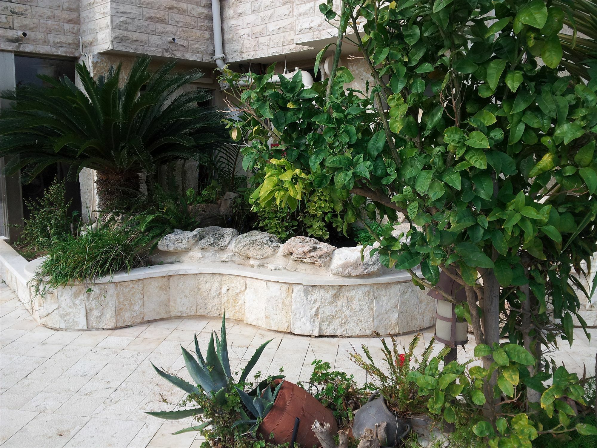 Marom Hotel Hayfa Dış mekan fotoğraf